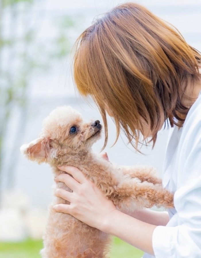 女性と仔犬