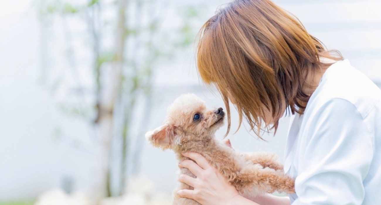女性と仔犬