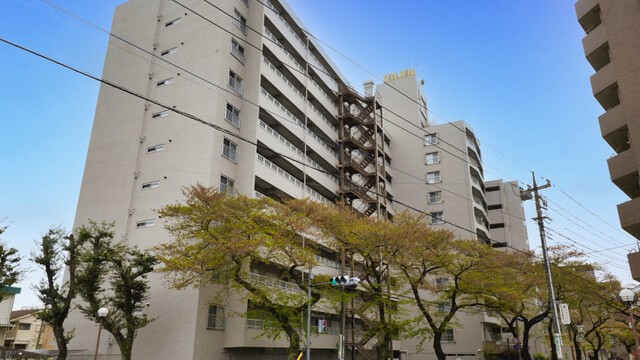 日商岩井国立マンション【東京都国立市】